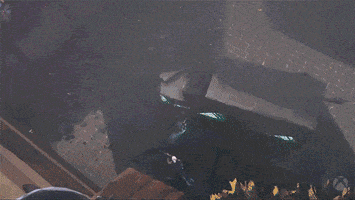 Slide Jett GIF by Xbox