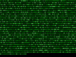 Coding Zero One GIF by Squirrel Monkey