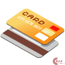 Credit card