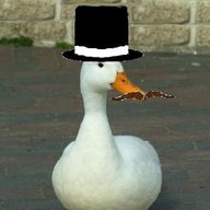 SirDuck