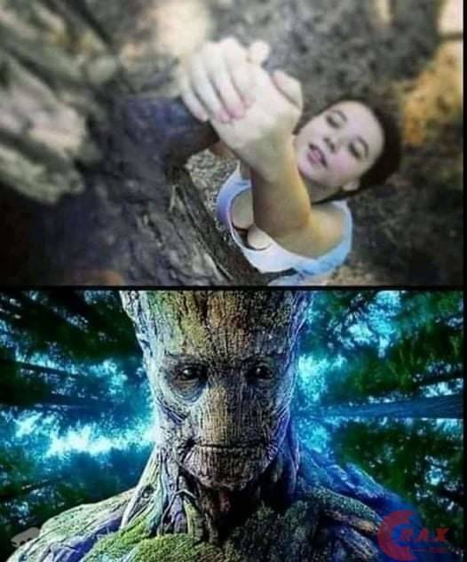 Groot meme 18+