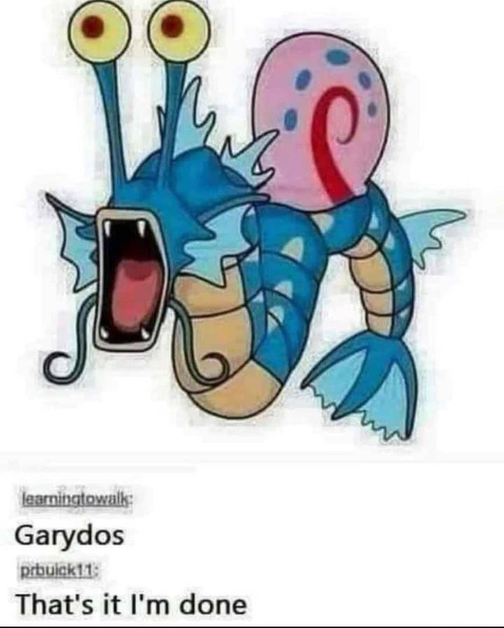 Gyarados bob🤣🤣