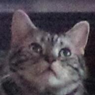 ptr-yudai.hatenablog.com